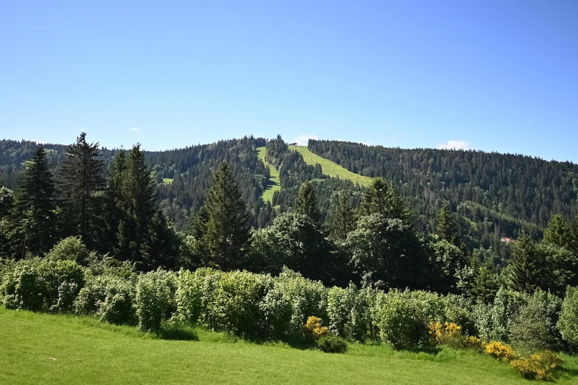Le Nid Des Vosges - Appt Vue Montagne Daire Gérardmer Dış mekan fotoğraf